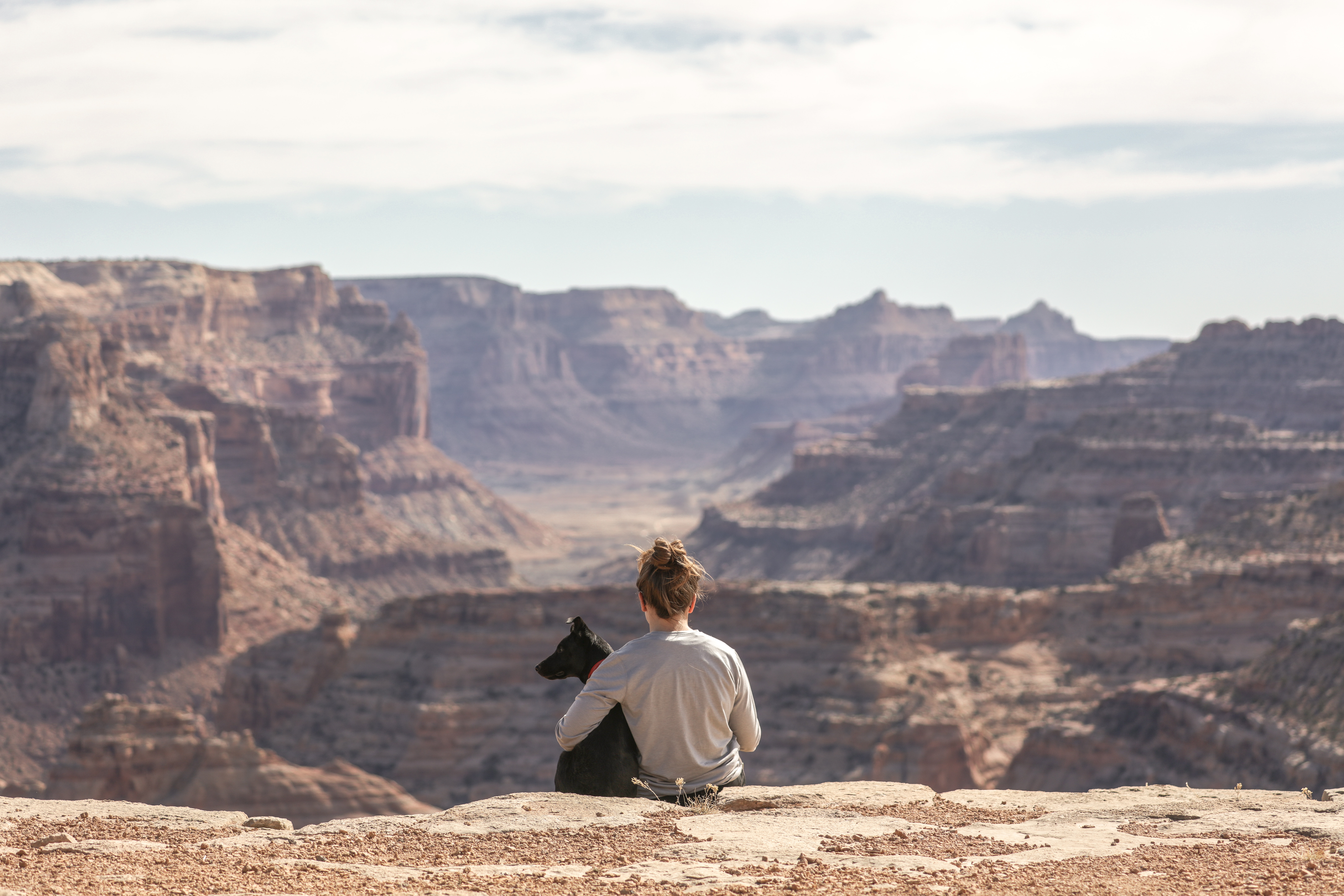 Dog and its owner sitting over a cliff overlooking a canyon