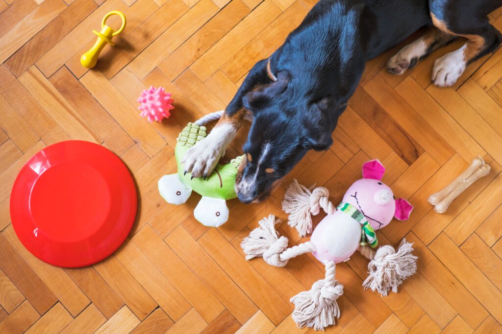 Pet Toy Blog Example Safe And Sound: Pet Toy And Gift Selection For A Happy And Healthy Pet