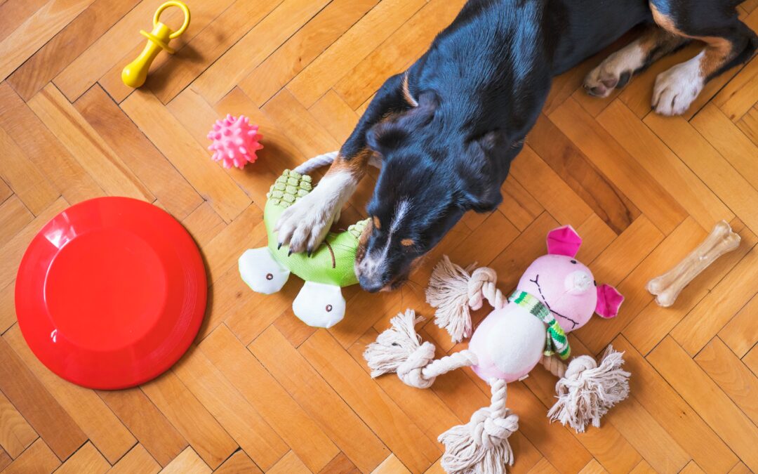 Black dog laying on the ground with several toys scattered around